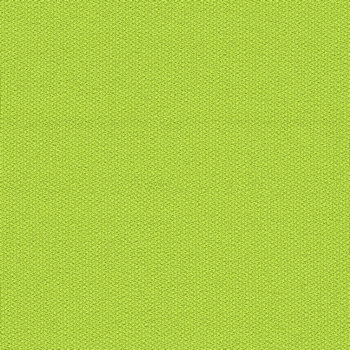 camira-era-cse07.jpg